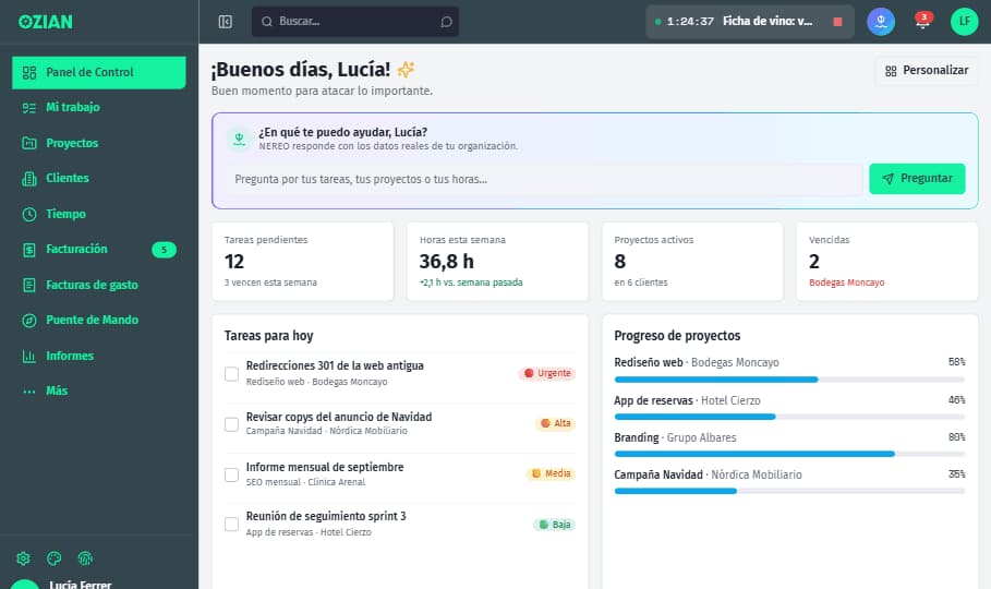 OZIAN dashboard with today's tasks, this week's hours and project progress (sample data).